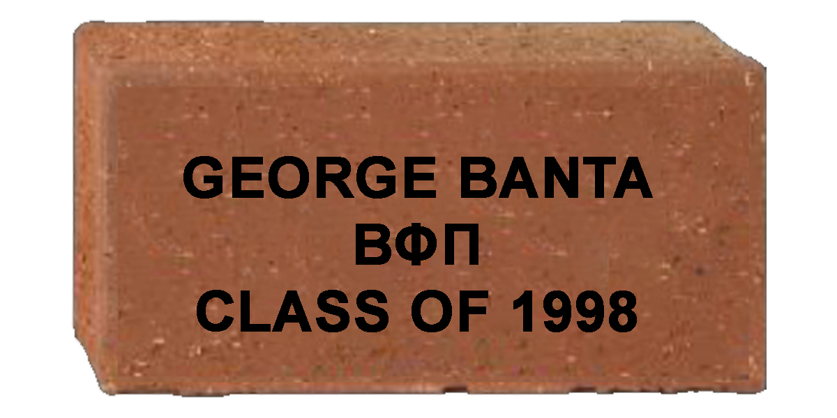 paver