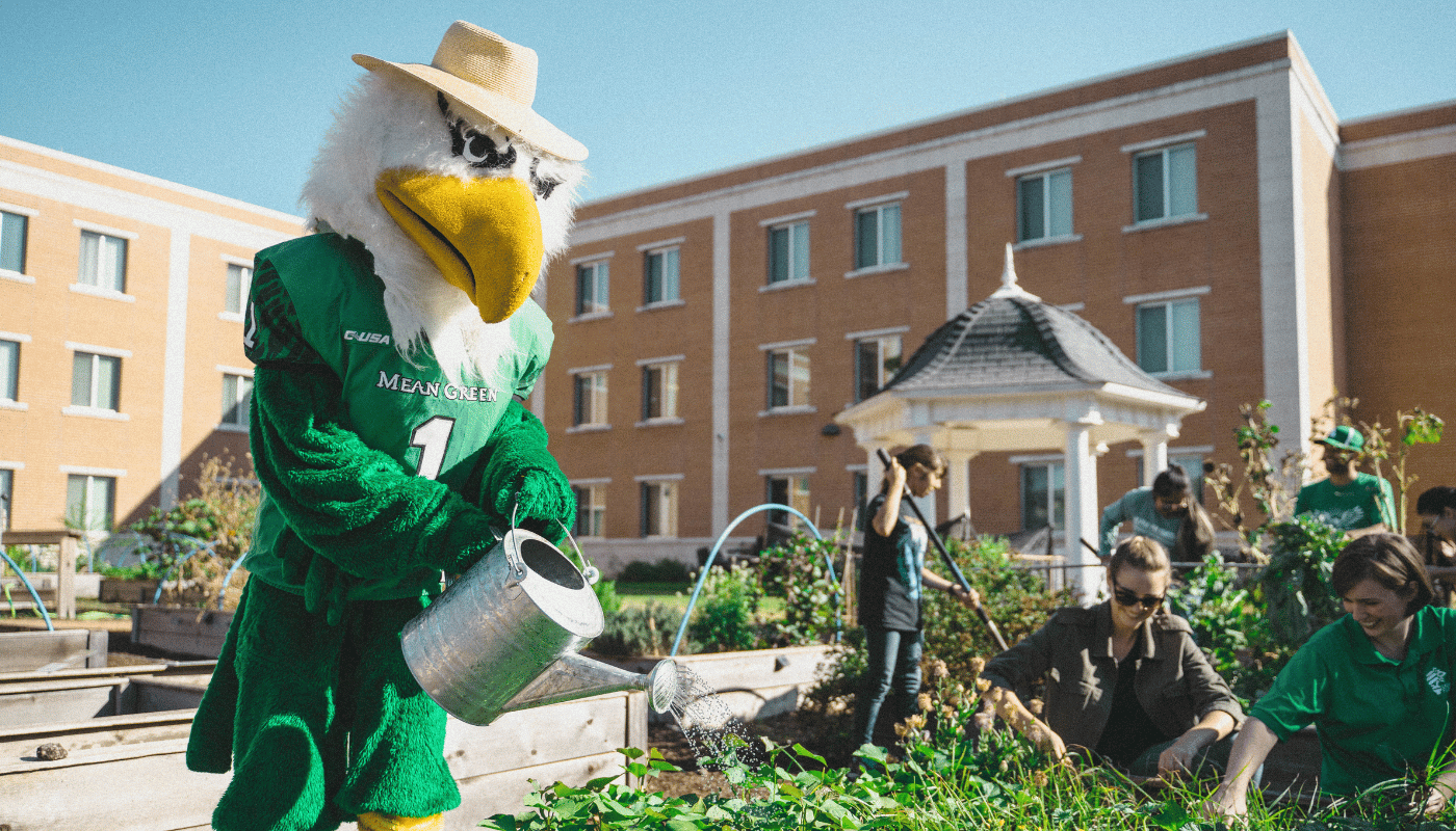 Scrappy gardening