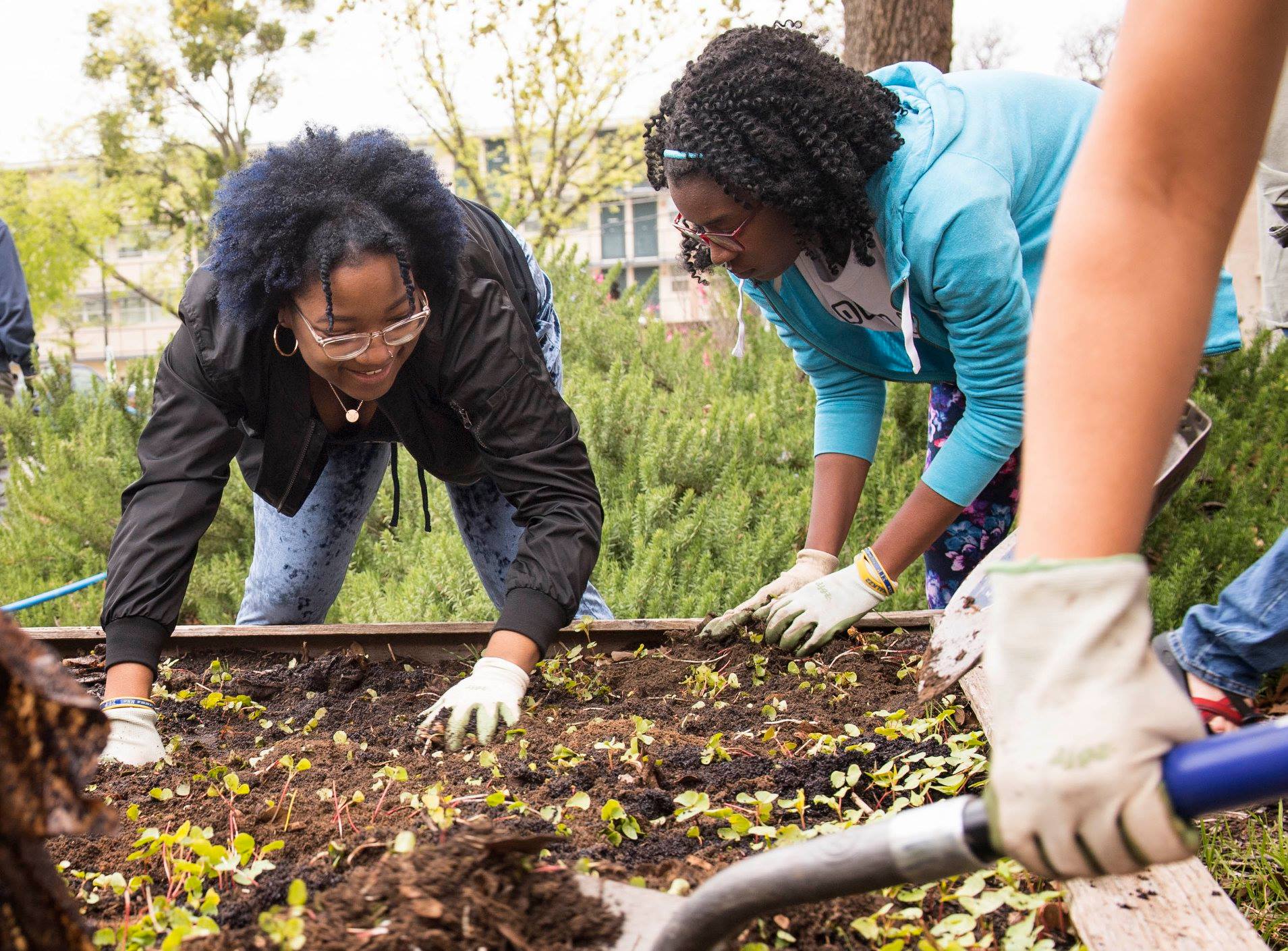 Image of Students Gardening